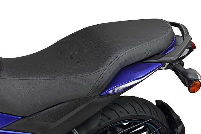 FZS FI New Seat Cover
